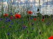 Conectar naturaleza, vivir presente