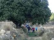 Bosque Parreta