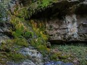 Cascada Osate, efímero salto agua Valle Salazar