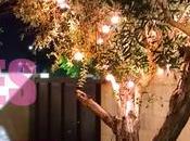 Viernes dando nota #181: vueltas alrededor