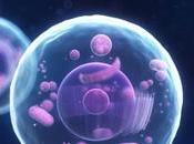 Preguntas sobre células respondidas expertos (Video)