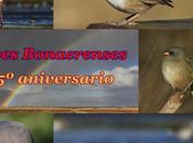 aniversario Aves Bonaerenses