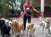 Hombre indio ocupa perros nadie quiere