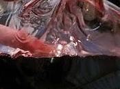 bueno beber vaso vino tinto antes recibir quimioterapia?