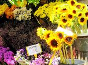 Flores Ramblas