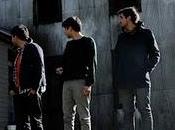 Incendio corazón Protistas