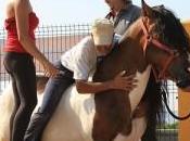 hipoterapia terapia caballos