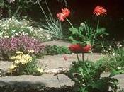 Crear jardín entorno urbano