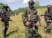 Paramilitares Fronteras. exportación paramilitarismo Colombia Venezuela
