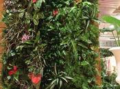 Jardines verticales