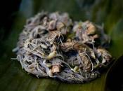 Thai pollo