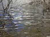 Sobresaliendo entre ondas