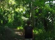 Propósitos para 2017