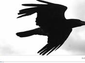 rumor viento