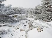 Ruta Puerto Navacerrada Pico Somontano (Siete Picos)