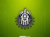 Chivas antes Monterrey, motivo Vergara hablara, Copa futuro Chiva