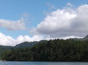Acampar Reserva Forestal Yeguada