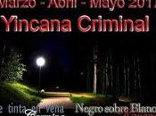 Yincana criminal 2017