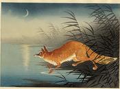 Haiga bosque