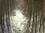 caminos intransitables sino formas recorrerlos