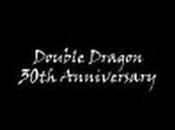 Personajes Double Dragon
