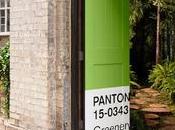 Pantone Greenery Airbnb