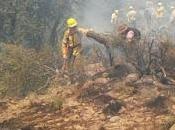 Junín Andes fuego sigue fuera control