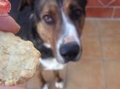 Galletas para perro