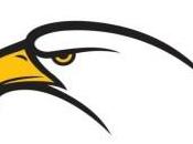 Fiber Eagle