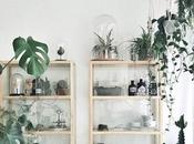 Primavera casa