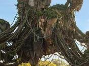 mayo abre Pandora World Avatar