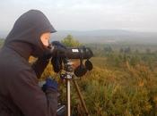 Observando lobos Sierra Culebra