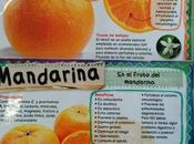 Semana fruta invienro: naranjas mandarinas