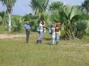 Continúan acciones mejoramiento ambiental colectivo Flora Fauna Manatí