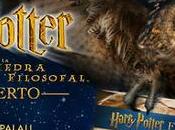 Planes familia: Harry Potter Concert