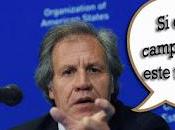 Almagro compañía, premio asechanzas