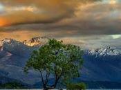 busco palabra lisonjera...