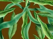 Walt Whitman Obra escogida