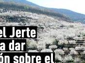 Oficina Turismo Valle Jerte comienza actualizar estado floración