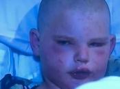 Niño salva vida ante ataque abejas usando técnica Dragon Ball (VIDEO)