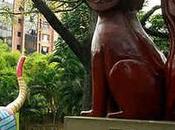 Imperdible Paseo Gato Tejada