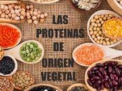 mejores proteínas vegetales
