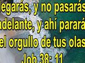 olas