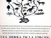 ¡Zarpamos Illueca!
