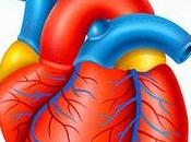 Bloqueo auriculoventricular