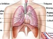 Cada fallecen España personas EPOC &#8211; Enfermedad Pulmonar Obstructiva Crónica