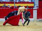 primera, frente