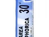 Homeopatía para drenar proteger sistema linfático hígado