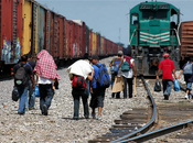 caza inmigrante México