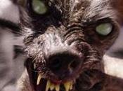 zombies infectan mascotas